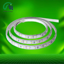 3528 60Leds 4.8W Led Strip